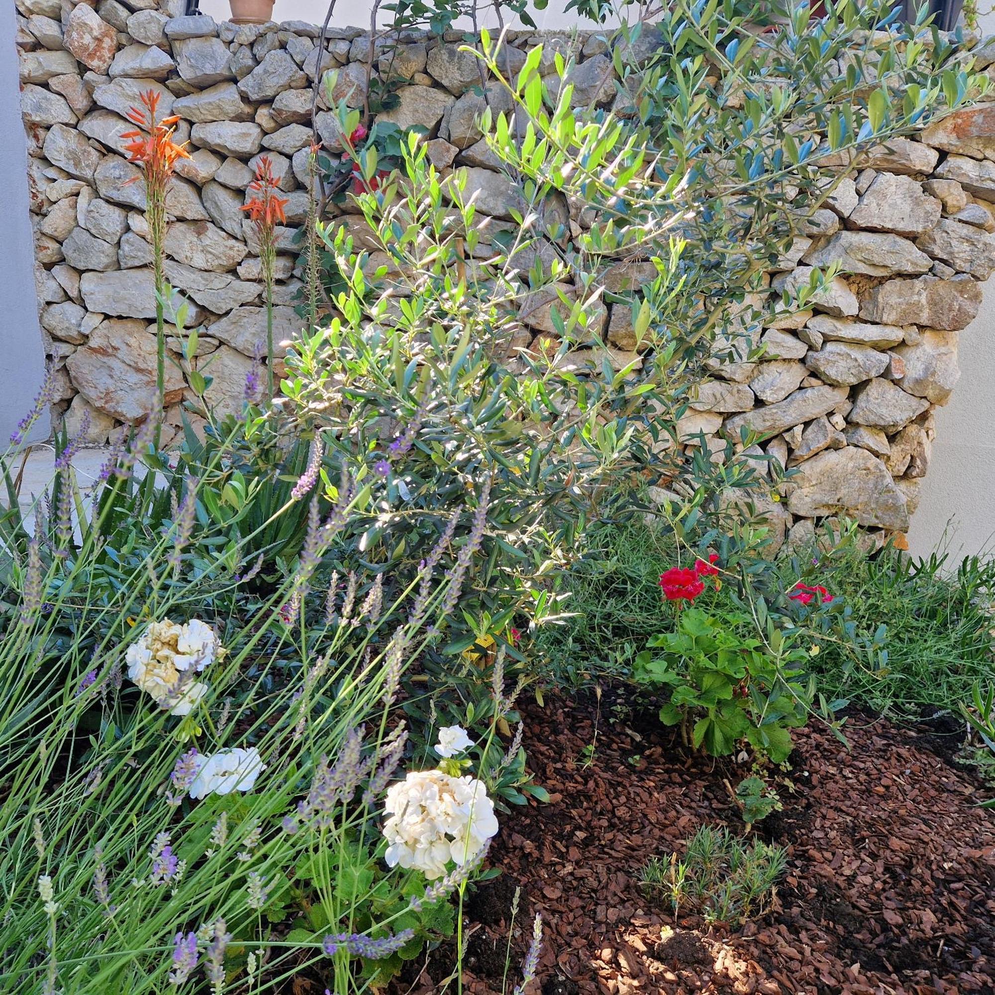 Castel Apartamento Mali Lošinj Exterior foto
